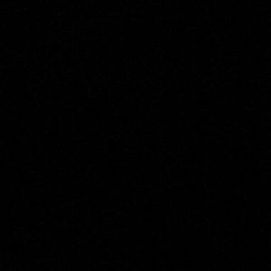 Meet your Posher, Lexi